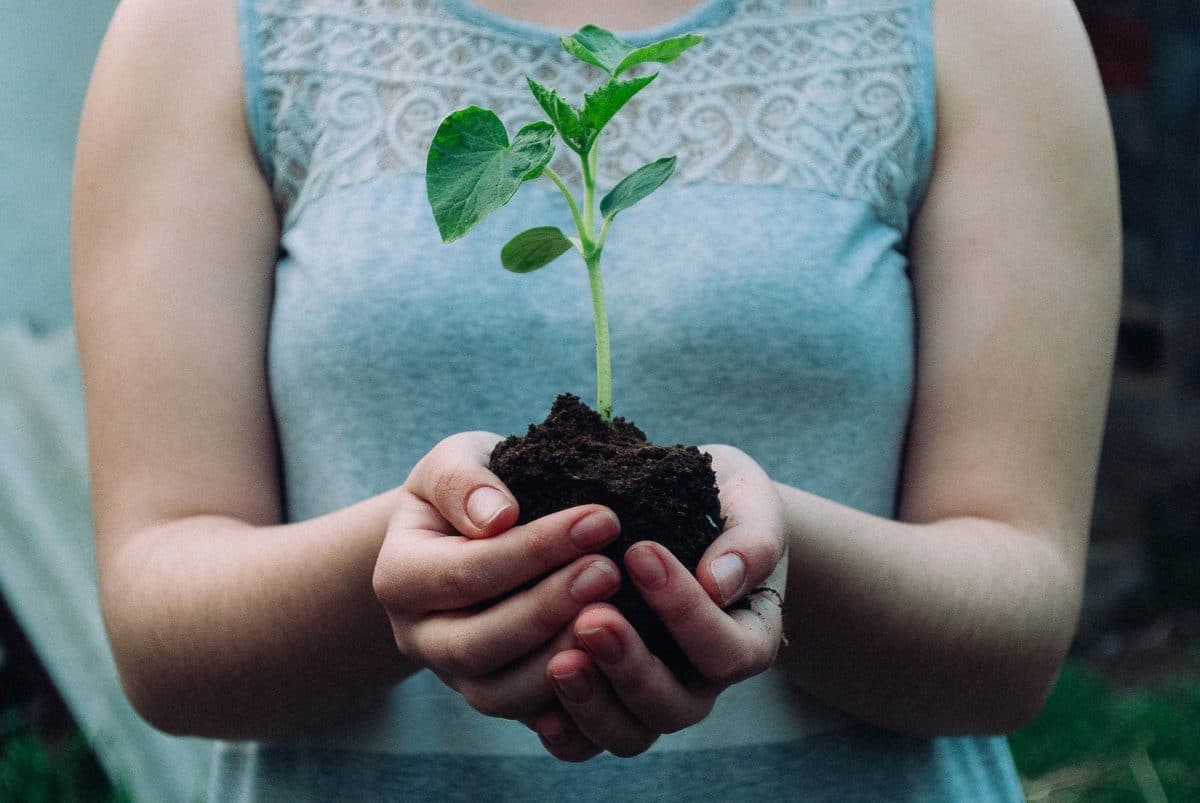 S’engager pour un avenir durable : Les clés pour une carrière dans la protection de l’environnement