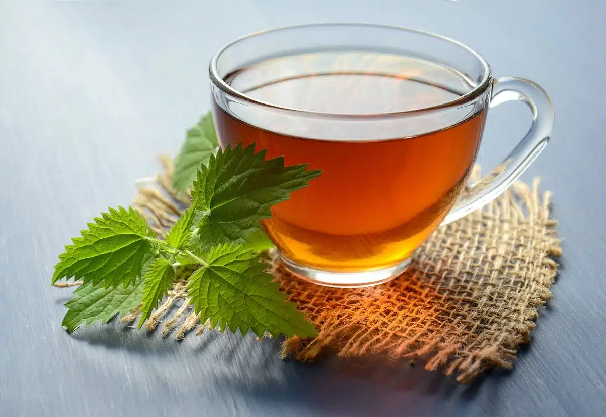 Thé à la menthe : une boisson rafraîchissante et aux multiples saveurs à découvrir