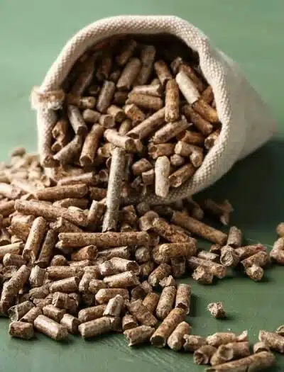 Promotion exceptionnelle chez Leclerc : profitez des pellets de qualité premium à prix cassé !