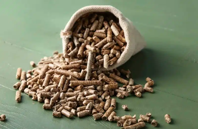 Promotion exceptionnelle chez Leclerc : profitez des pellets de qualité premium à prix cassé !