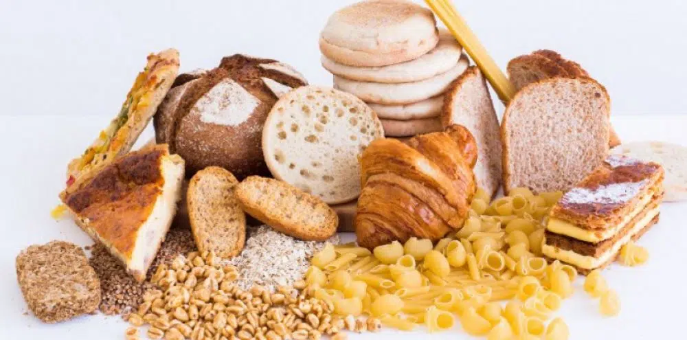 Gluten : alimentation sans gluten (de mais, de blé, de pomme de terre)