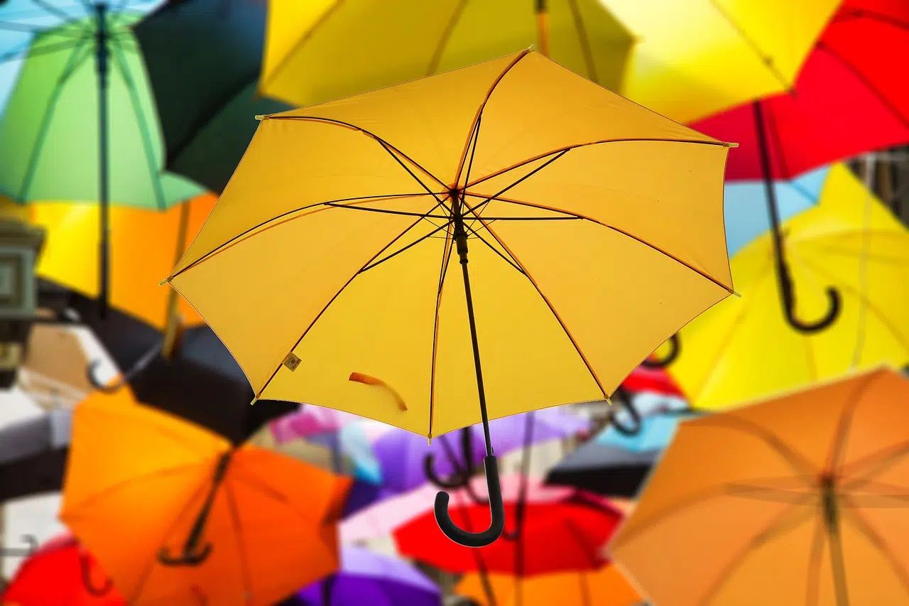 Tout savoir sur les modèles de parapluies existants