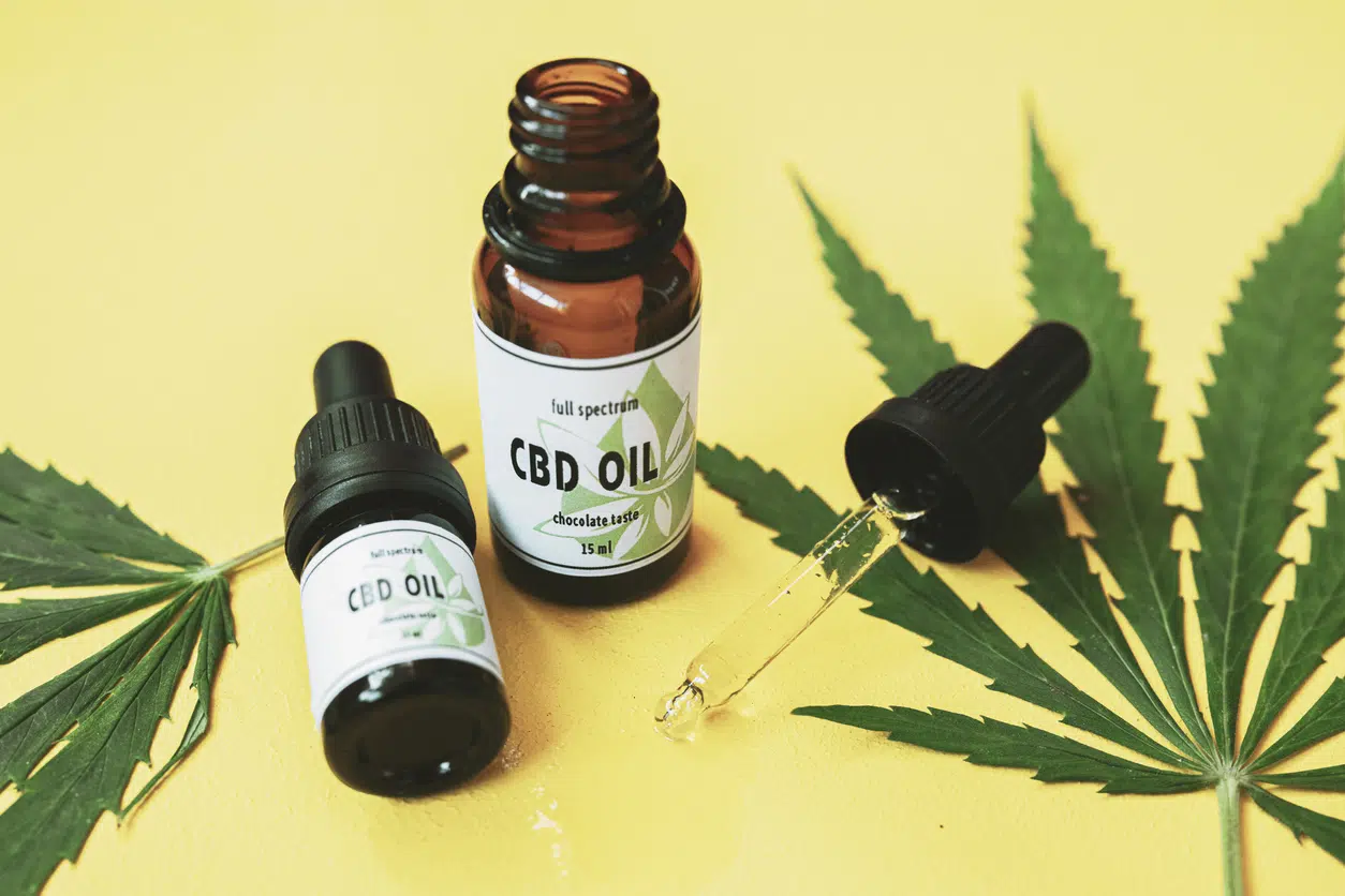 Tout savoir sur la CBD Amnésia