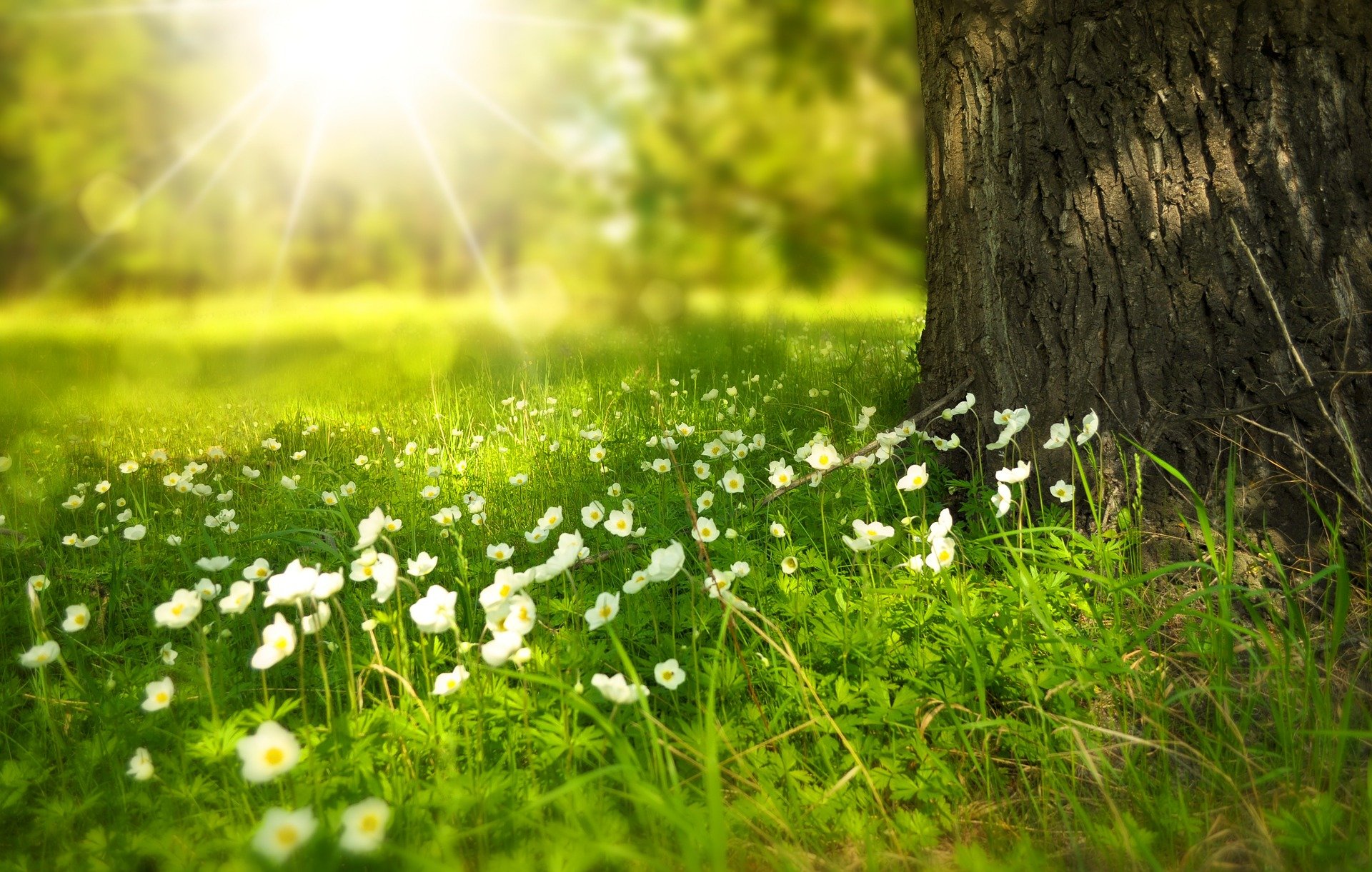 Quel SPF solaire choisir selon son phototype ?
