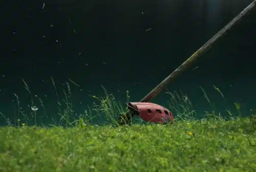 Quelles sont les meilleures débroussailleuses pour votre jardin ?