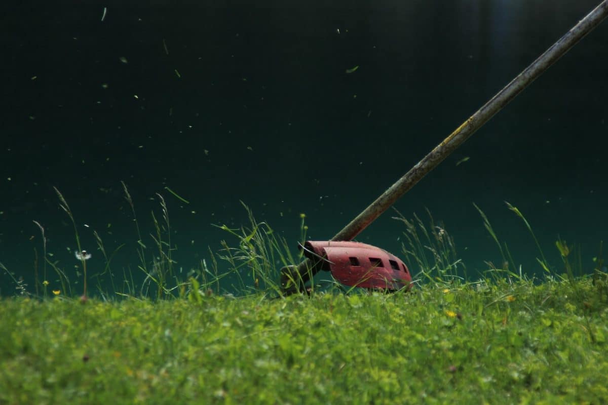 Quelles sont les meilleures débroussailleuses pour votre jardin ?